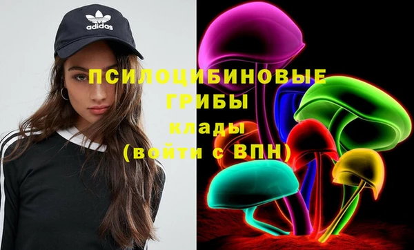 синтетический гашиш Алексеевка